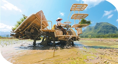 智能“新農(nóng)友”上崗 種田也能酷炫